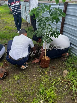 Zeal School Gallery 13