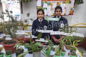 The Lucknow Public Collegiate, Jopling Road Gallery 4