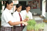 Springdales School Springdales School Gallery