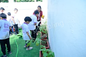 Dreamtime Learning Hub Gallery 5
