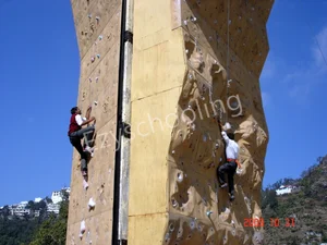 Guru Nanak Fifth Centenary School Vincent Hill - Boys Gallery 4