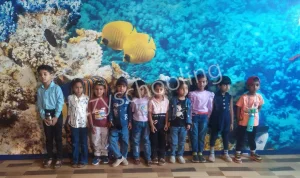 Wisdom High School & Jr. College Gallery 3