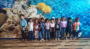 Wisdom High School & Jr. College Gallery 5