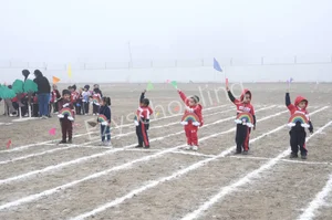 Birla Open Minds International School Gallery 3