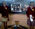 Shri Manjunatheshwara Central School Gallery