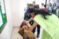 Delhi World Public School Gallery