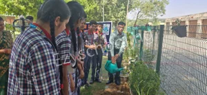 Kendriya Vidyalaya Gallery 8