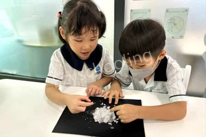 One World International School Gallery 33