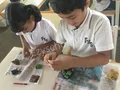The Future Kid's School Gallery