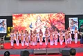 GG International School Gallery