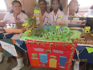 St.Ann's High School Gallery 6