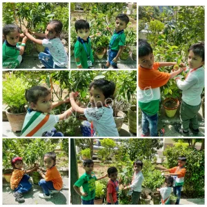 Tarun Niketan Public School Gallery 5