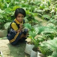 St. Andrews World School Gallery 22