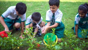 Bodhi Taru International School Gallery 17