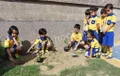 Vidya Bal Bhawan Sr. Sec. School Gallery