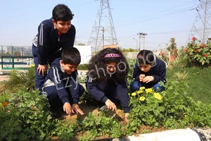 Darbari Lal Foundation World School Gallery 4