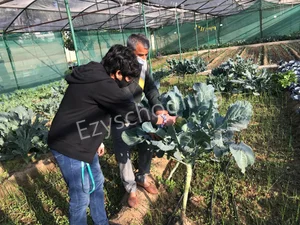 Heritage Xperiential Learning School Gallery 9