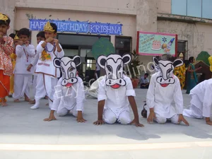 Royal Oak International School Gallery 30