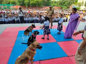 Ryan International School Gallery 16