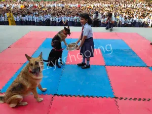 Ryan International School Gallery 15