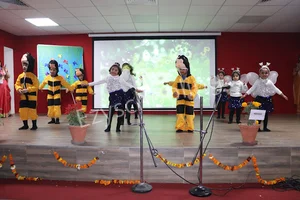 St. Xavier's High School Gallery 12