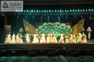 Aster Public School Gallery 8