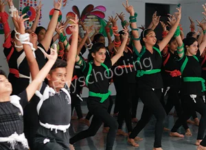 Greenwood Public School Gallery 7