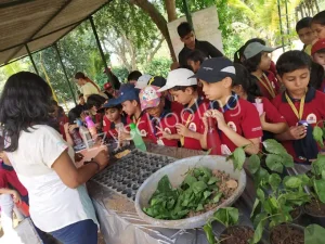 Orchids The International School Gallery 2