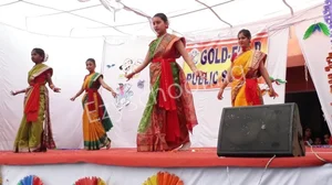 Gold Field Public School Gallery 4