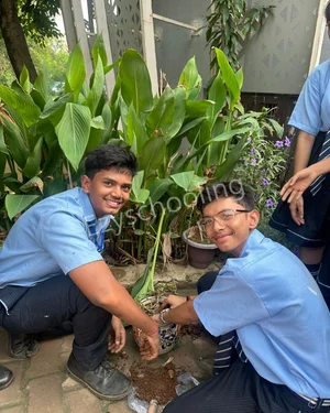 Modern School Gallery 3