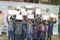 AMM Public School Gallery