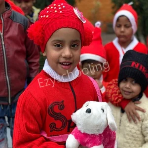 Jan Gan Man Public School Gallery 2