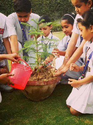 Umander Convent School Gallery 21