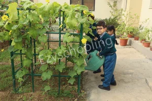 The Baptist Convent Sr. Sec School Gallery 3