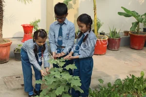 The Baptist Convent Sr. Sec School Gallery 2