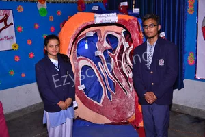 Rosebell Public School Gallery 17