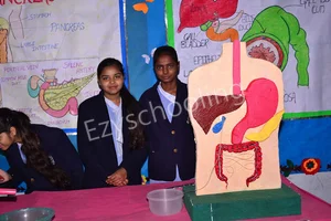 Rosebell Public School Gallery 14