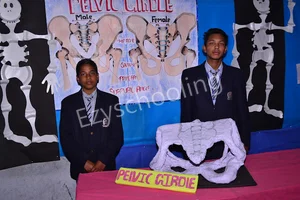 Rosebell Public School Gallery 13