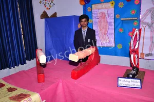 Rosebell Public School Gallery 10