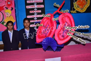 Rosebell Public School Gallery 7