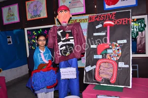 Rosebell Public School Gallery 5