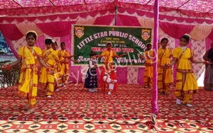 Little Star Public School Gallery 4