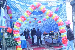 Cambridge Montessori Junior Gallery 12