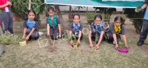 North-Ex Public School Gallery 21