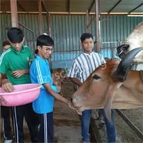 Caelum High School Gallery 8