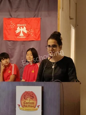 Caelum High School Gallery 2