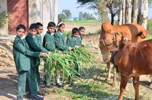 Chaitanya International School Gallery 20