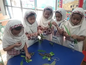 MSB Educational Institute Gallery 24