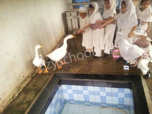 MSB Educational Institute Gallery 17