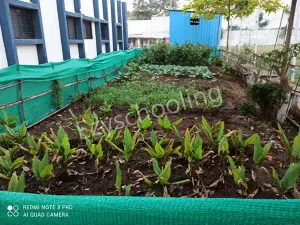 Podar International School, Sara City Gallery 1